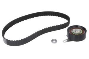 Zestaw paska rozrządu 530 0202 10