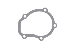 Zestaw uszczelek pompy cieczy chłodzącej D10001AD