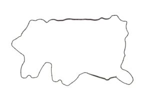 Uszczelka pokrywy zaworów 71-38974-00