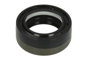 Zestaw naprawczy mechanizmu różnicowego 644149-CR