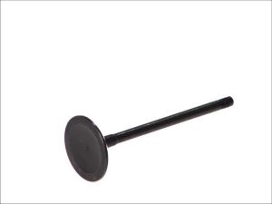 Zawór ssący 6399/SNT