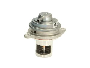 Zawór EGR 7.00306.37.0