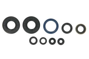 Kompletny zestaw uszczelek silnika P400220400126