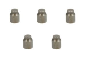 Kołki ENT250054/255