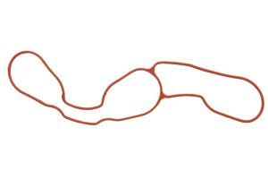 Uszczelka kolektora dolotowego 71-12156-00