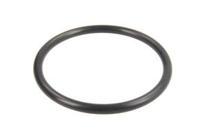 Uszczelka obudowy filtra powietrza HP113 883