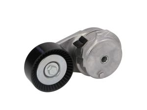 Napinacz paska wieloklinowego DAYAPV2959