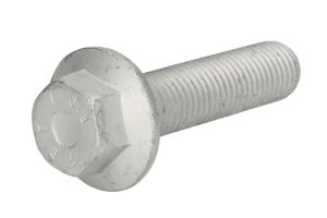Śruba, tarcza hamulcowa FE35628