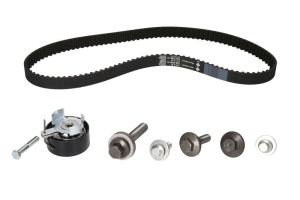 Zestaw paska rozrządu 530 0495 10