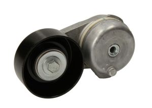 Napinacz paska wieloklinowego DAYAPV2447