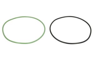 Zestaw uszczelek tulei cylindra ENT020407