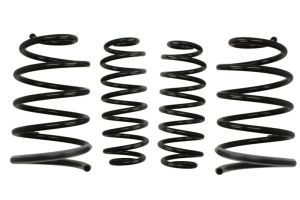 Sprężyna obniżająca E10-70-004-02-22