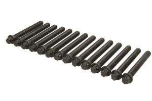 Zestaw śrub głowicy cylindrów AJU81029600