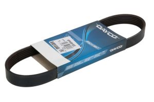 Pasek wieloklinowy DAY6PK691EE