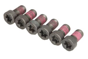 Zestaw śrub koła zamachowego 411 0255 10