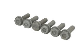 Zestaw śrub koła zamachowego 411 0146 10