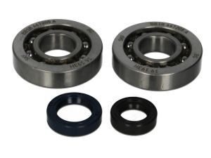 Łożysko wału korbowego P400420444001