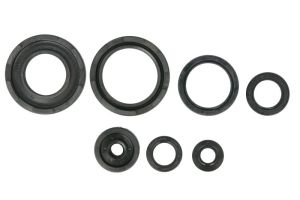 Kompletny zestaw uszczelek silnika P400485400253