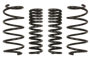 Sprężyna obniżająca E10-25-019-02-22