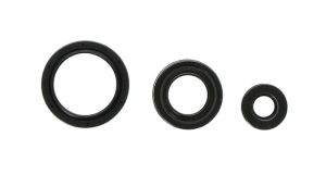 Komplet uszczelniaczy silnika P400220400263