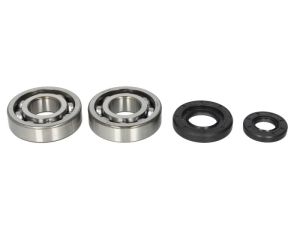 Zestaw naprawczy wału korbowego AB24-1029