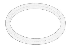 Pierścień uszczelniający G100444-CNH