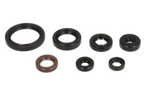 Komplet uszczelniaczy silnika P400485400188