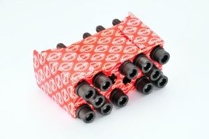 Zestaw śrub głowicy cylindrów EL819850