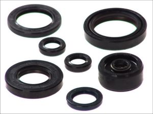 Komplet uszczelniaczy silnika P400485400125