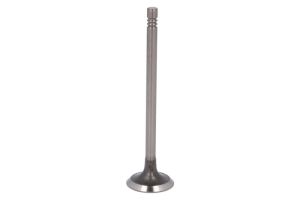 Zawór ssący PREN102