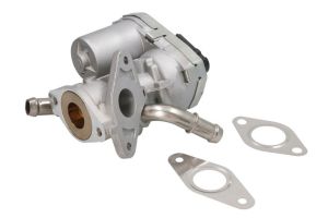 Zawór EGR EGE5-D006           90300