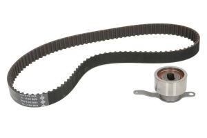 Zestaw paska rozrządu 530 0314 10