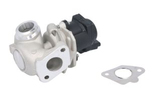 Zawór EGR EGE5-A001           97445