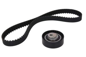 Zestaw paska rozrządu 530 0142 10