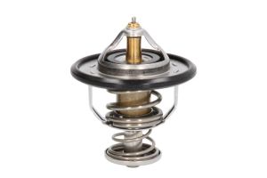 Termostat środka chłodzącego D20310OEM