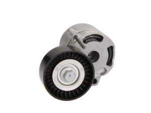 Napinacz paska wieloklinowego GA381.01