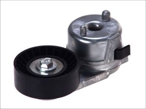 Napinacz paska wieloklinowego DAYAPV2488