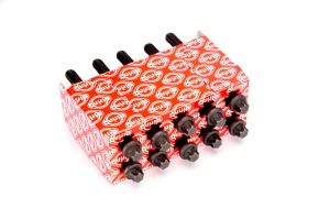 Zestaw śrub głowicy cylindrów EL802790