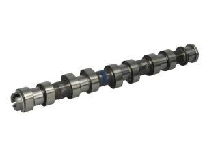 Wałek rozrządu 50 006 152