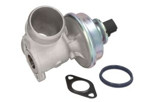 Zawór EGR 571822112109