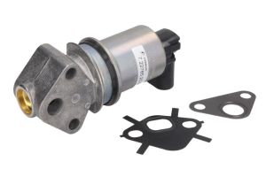 Zawór EGR 7.22785.20.0