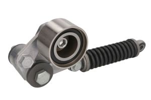 Napinacz paska wieloklinowego DAYAPV2973