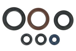 Kompletny zestaw uszczelek silnika P400270400012