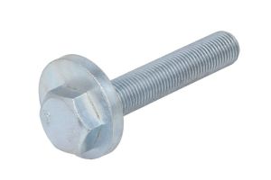 Śruba mimośrodowa RH14-0082