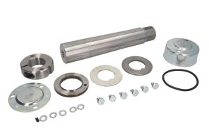 Zestaw naprawczy, zwrotnica (kolumna amortyzatora) 9RST06