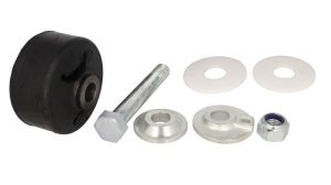 Zestaw naprawczy sworznia resora AUG55181