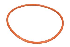 Pierścień uszczelniający tulei cylindra R48638-FP