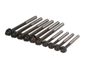 Zestaw śrub głowicy cylindrów AMC258545