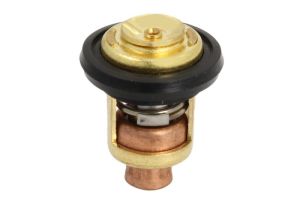 Termostat środka chłodzącego F15-07000031