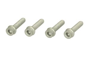 Zestaw śrub koła pasowego wału korbowego MS17